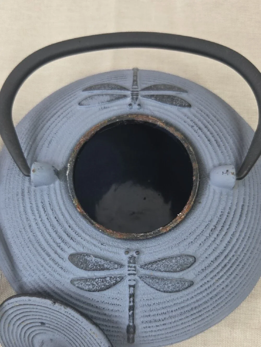 Blue Dragonfly Cast Iron Teapot with Handle
